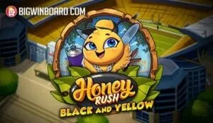 Honey Rush Black And Yellow