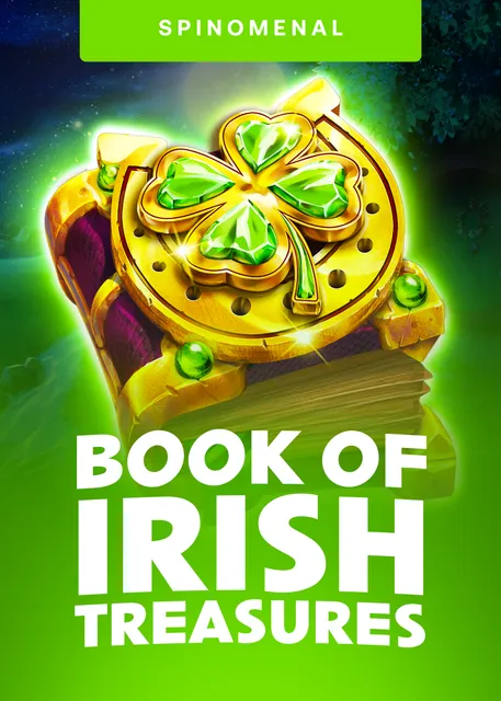 Book Of Irish Treasures
