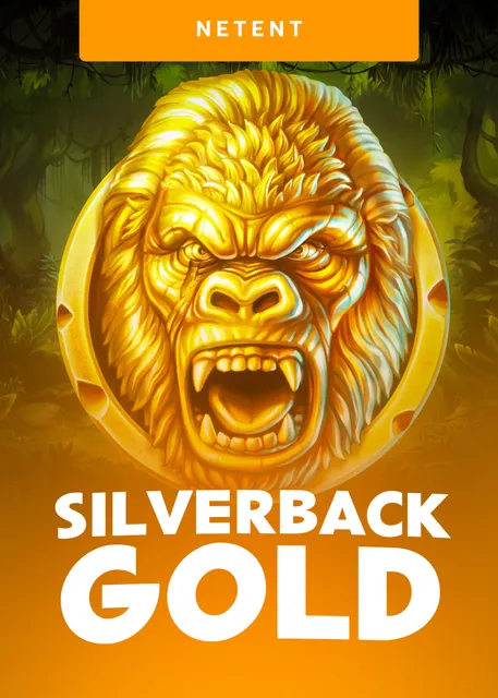 Silverback Gold 1