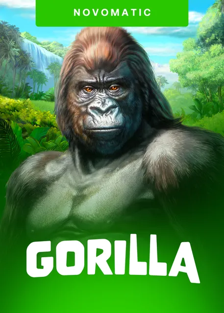 Gorilla